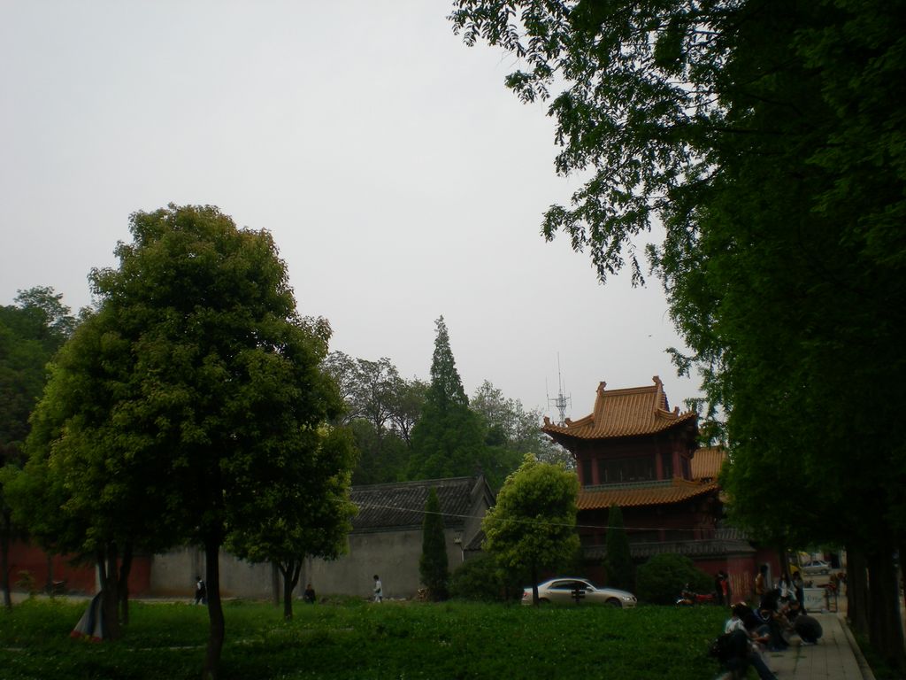 点击在新窗口查看原始图片